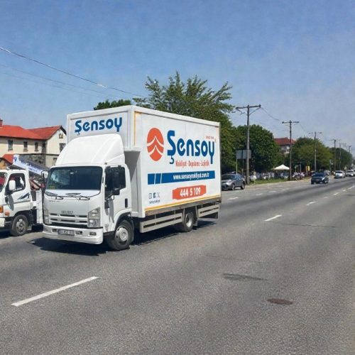 Şensoy Asansörlü Nakliyat